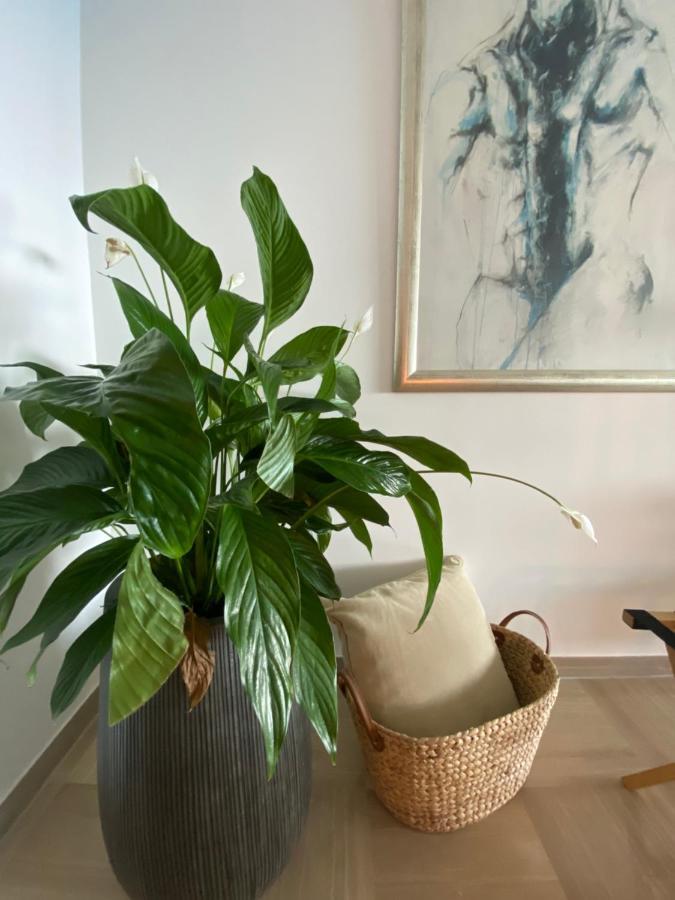 Appartement Le Bahia *